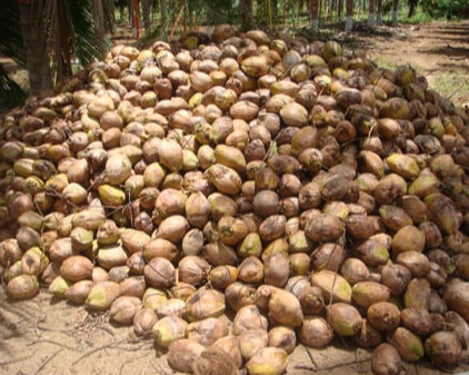 6864e330 e618 48a1 9053 8eda5322f808