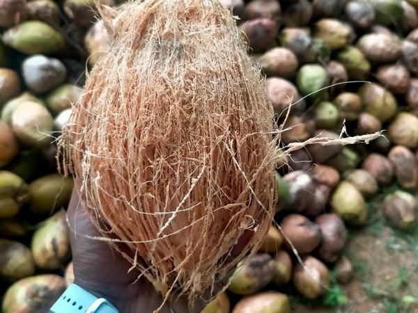 72490e66 094b 479f 9d56 579929c1d968