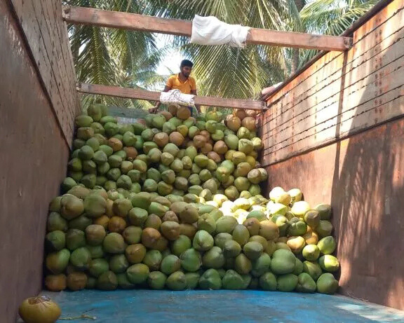 a9186827 fa26 4067 843a a11d35e4a15c