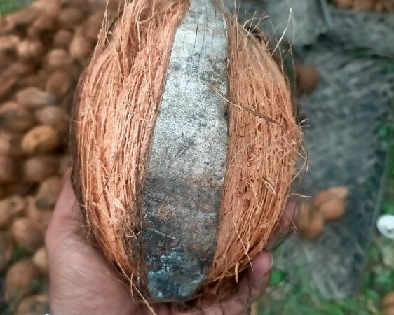 becf46b1 54ae 4bbb 8a49 076d2c414454