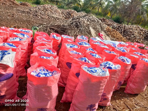 dry coconuts package